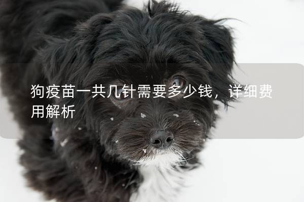 狗疫苗一共几针需要多少钱，详细费用解析