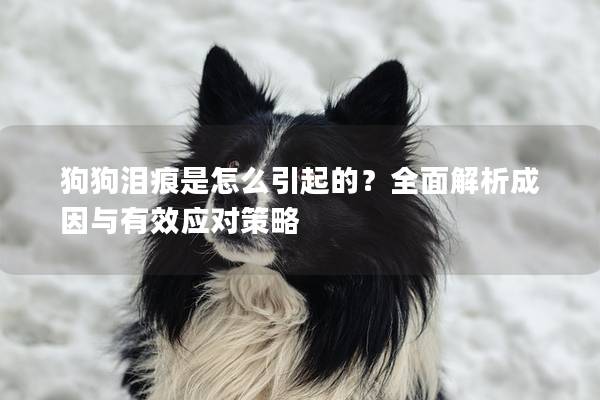 狗狗泪痕是怎么引起的？全面解析成因与有效应对策略