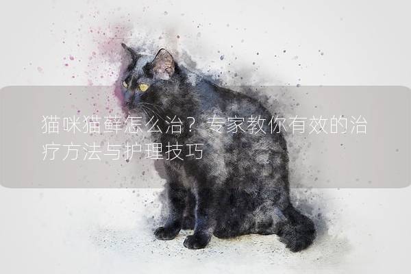 猫咪猫藓怎么治？专家教你有效的治疗方法与护理技巧