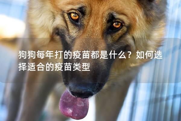 狗狗每年打的疫苗都是什么？如何选择适合的疫苗类型