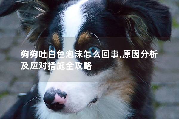 狗狗吐白色泡沫怎么回事,原因分析及应对措施全攻略