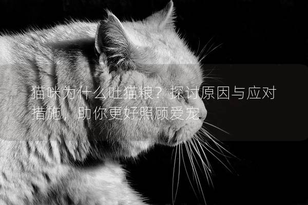 猫咪为什么吐猫粮？探讨原因与应对措施，助你更好照顾爱宠