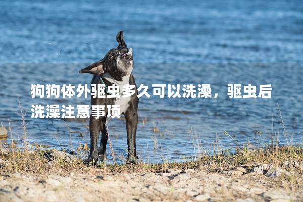 狗狗体外驱虫多久可以洗澡，驱虫后洗澡注意事项