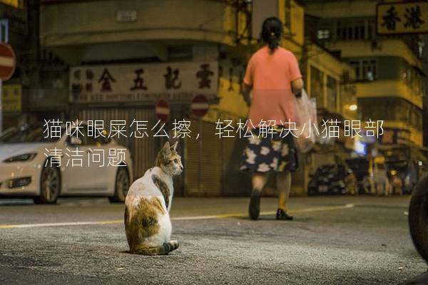 猫咪眼屎怎么擦，轻松解决小猫眼部清洁问题