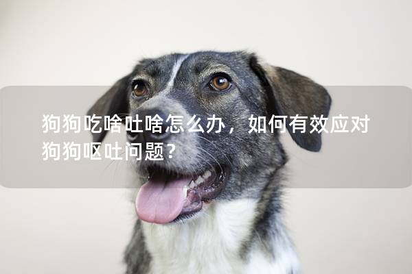 狗狗吃啥吐啥怎么办，如何有效应对狗狗呕吐问题？