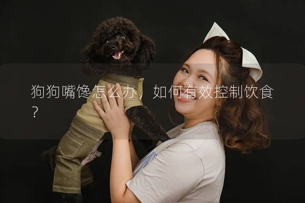狗狗嘴馋怎么办，如何有效控制饮食？