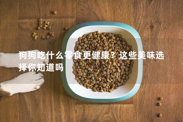 狗狗吃什么零食更健康？这些美味选择你知道吗
