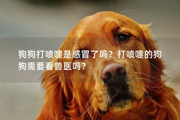 狗狗打喷嚏是感冒了吗？打喷嚏的狗狗需要看兽医吗？