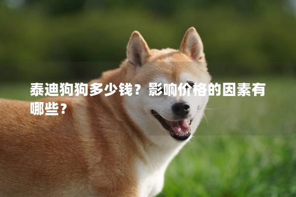 泰迪狗狗多少钱？影响价格的因素有哪些？