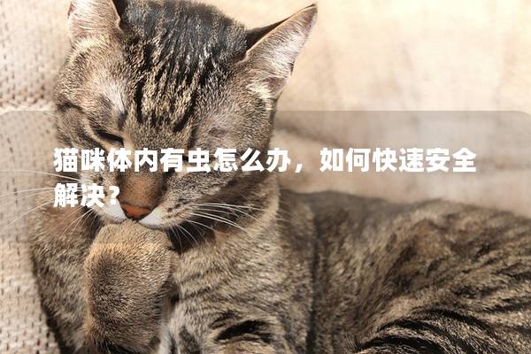 猫咪体内有虫怎么办，如何快速安全解决？