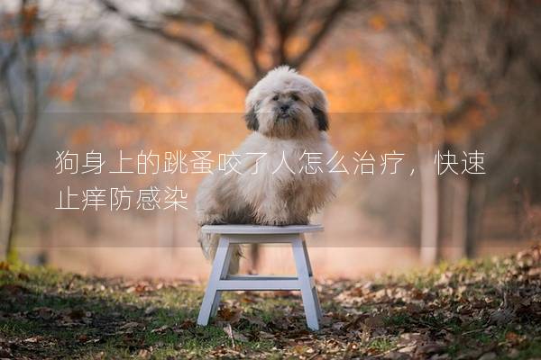 狗身上的跳蚤咬了人怎么治疗，快速止痒防感染