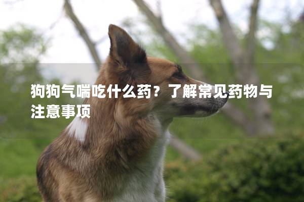 狗狗气喘吃什么药？了解常见药物与注意事项