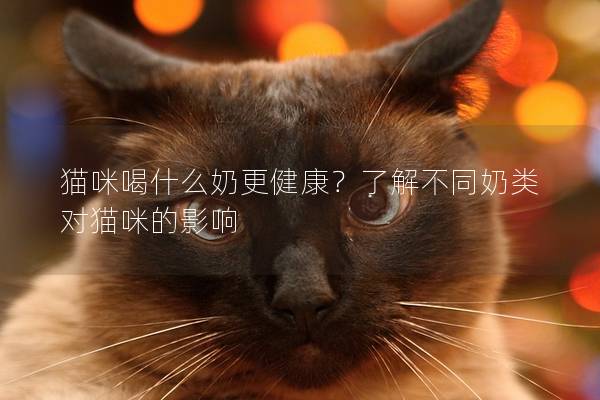 猫咪喝什么奶更健康？了解不同奶类对猫咪的影响