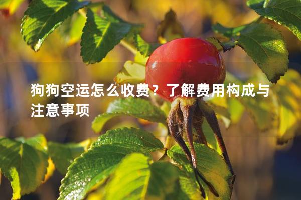 狗狗空运怎么收费？了解费用构成与注意事项