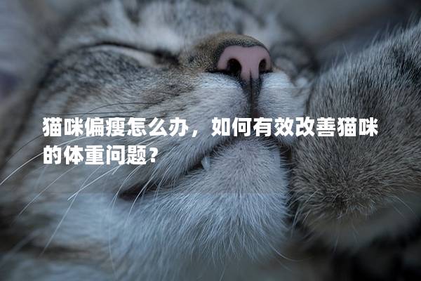 猫咪偏瘦怎么办，如何有效改善猫咪的体重问题？