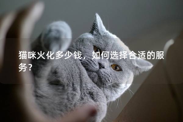 猫咪火化多少钱，如何选择合适的服务？
