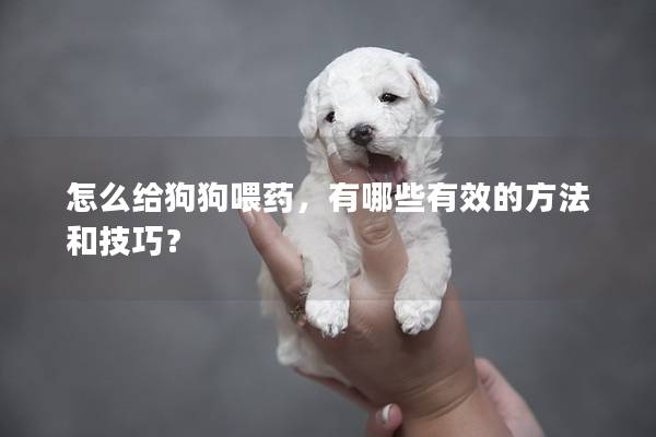 怎么给狗狗喂药，有哪些有效的方法和技巧？