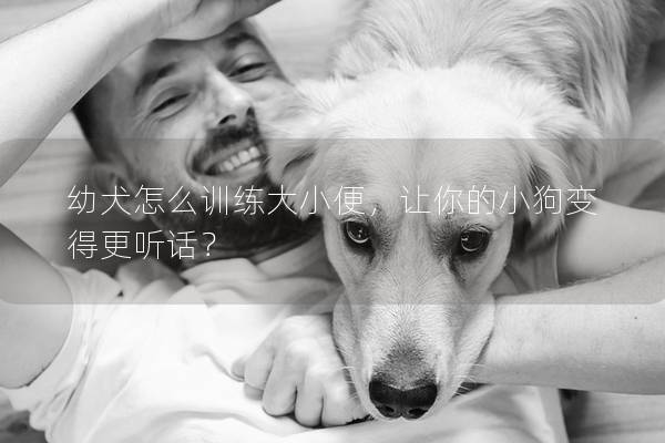 幼犬怎么训练大小便，让你的小狗变得更听话？
