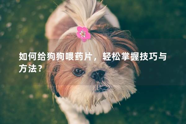 如何给狗狗喂药片，轻松掌握技巧与方法？