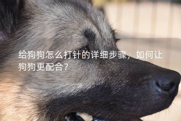 给狗狗怎么打针的详细步骤，如何让狗狗更配合？