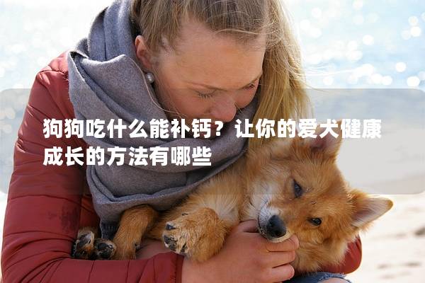 狗狗吃什么能补钙？让你的爱犬健康成长的方法有哪些