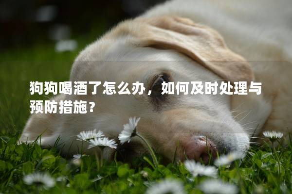 狗狗喝酒了怎么办，如何及时处理与预防措施？