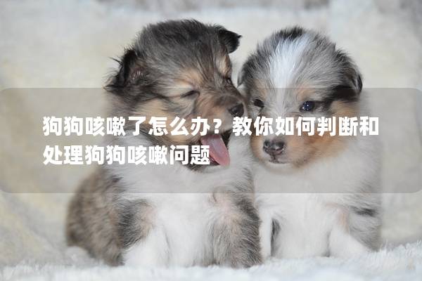 狗狗咳嗽了怎么办？教你如何判断和处理狗狗咳嗽问题