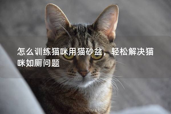 怎么训练猫咪用猫砂盆，轻松解决猫咪如厕问题