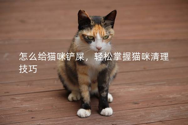 怎么给猫咪铲屎，轻松掌握猫咪清理技巧