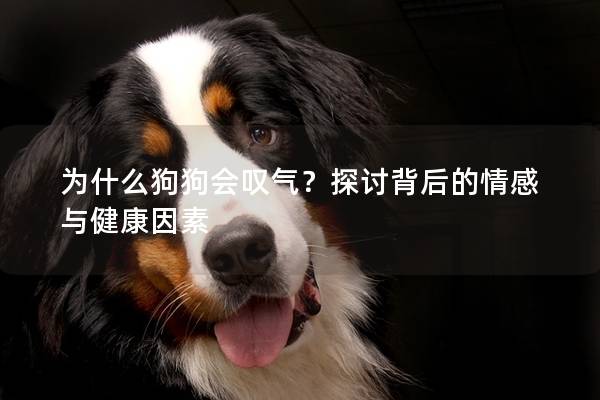 为什么狗狗会叹气？探讨背后的情感与健康因素