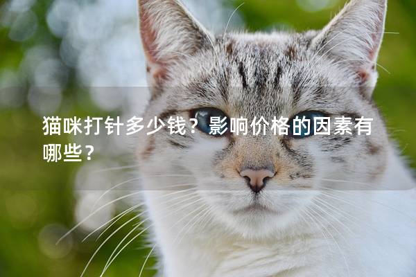 猫咪打针多少钱？影响价格的因素有哪些？
