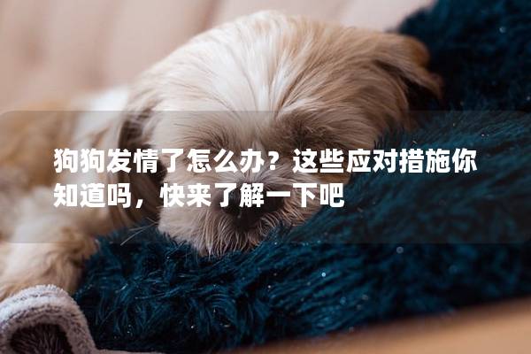 狗狗发情了怎么办？这些应对措施你知道吗，快来了解一下吧