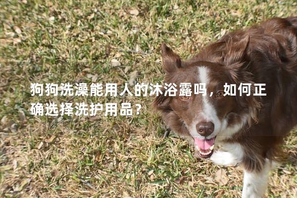 狗狗洗澡能用人的沐浴露吗，如何正确选择洗护用品？