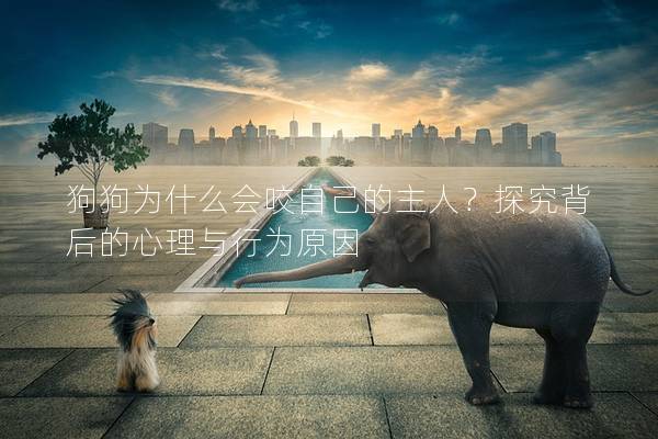 狗狗为什么会咬自己的主人？探究背后的心理与行为原因