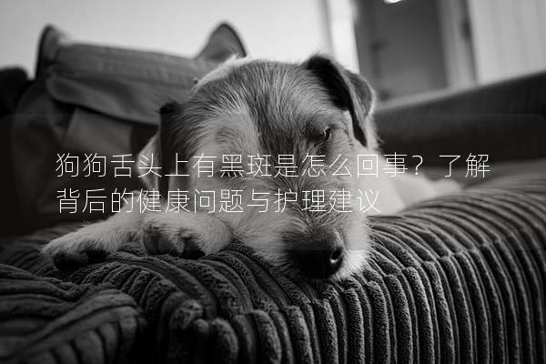 狗狗舌头上有黑斑是怎么回事？了解背后的健康问题与护理建议