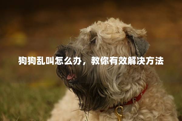 狗狗乱叫怎么办，教你有效解决方法
