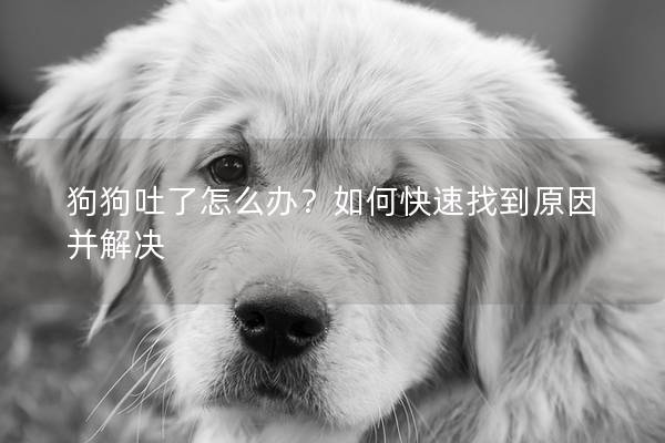 狗狗吐了怎么办？如何快速找到原因并解决