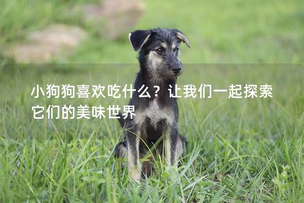 小狗狗喜欢吃什么？让我们一起探索它们的美味世界