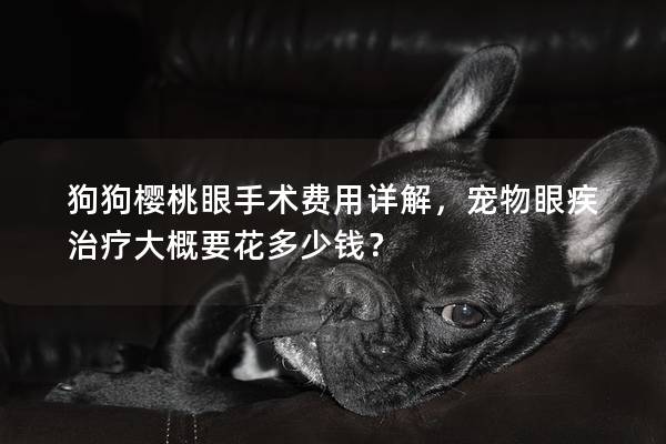 狗狗樱桃眼手术费用详解，宠物眼疾治疗大概要花多少钱？