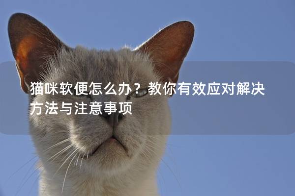 猫咪软便怎么办？教你有效应对解决方法与注意事项