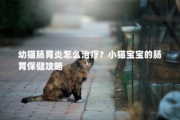 幼猫肠胃炎怎么治疗？小猫宝宝的肠胃保健攻略