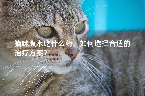猫咪腹水吃什么药，如何选择合适的治疗方案？