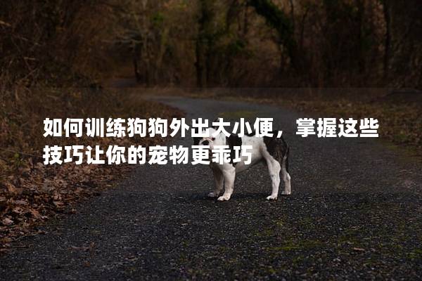 如何训练狗狗外出大小便，掌握这些技巧让你的宠物更乖巧