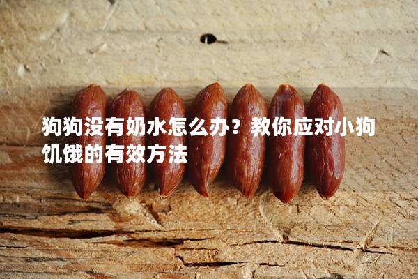 狗狗没有奶水怎么办？教你应对小狗饥饿的有效方法