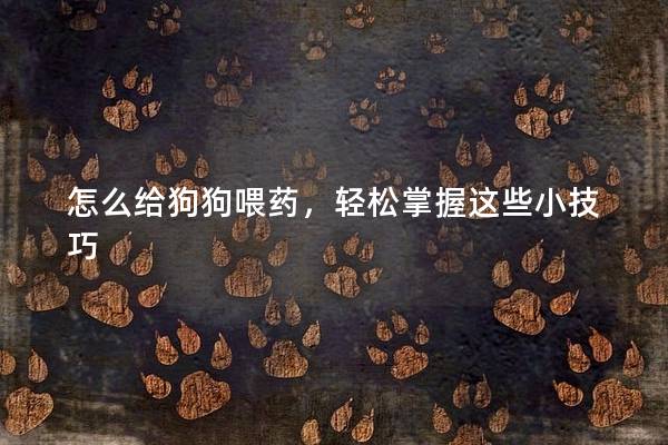 怎么给狗狗喂药，轻松掌握这些小技巧