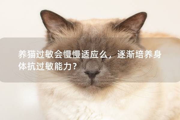 养猫过敏会慢慢适应么，逐渐培养身体抗过敏能力？