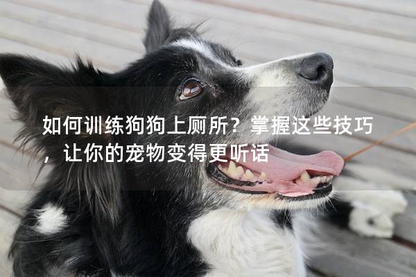 如何训练狗狗上厕所？掌握这些技巧，让你的宠物变得更听话