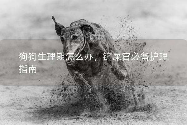 狗狗生理期怎么办，铲屎官必备护理指南