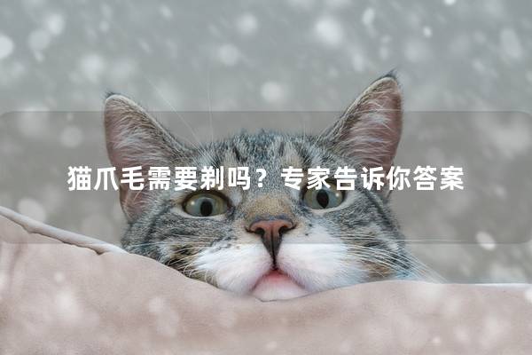 猫爪毛需要剃吗？专家告诉你答案