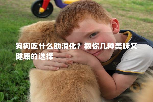 狗狗吃什么助消化？教你几种美味又健康的选择